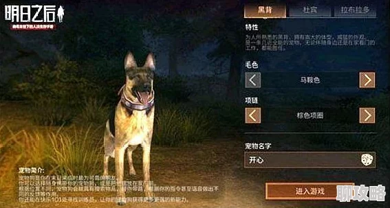 网友热议:明日之后游戏中狗的三大实用功能及作用效果全解析 网友热议:明日之后游戏中狗的三大实用功能及作用效果全解析