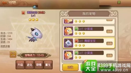 弹弹岛2手游深度解析：网友热议防御型宠物属性介绍与分析