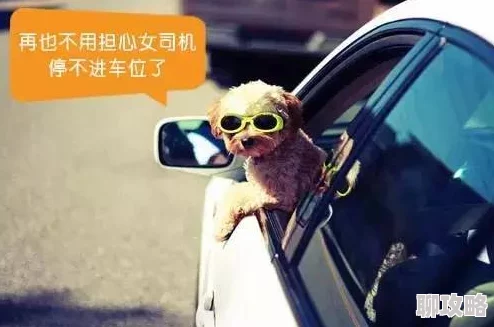 网友热议:换装大联萌特色兜风系统深度玩法详解与评价 网友热议:换装大联萌特色兜风系统深度玩法详解与评价