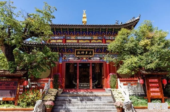 网友热议：不思议迷宫雪山神庙玩法内容深度全解析与评价