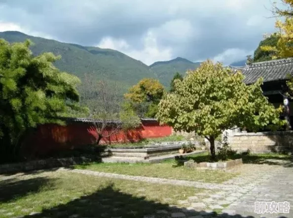 网友热议：不思议迷宫雪山神庙玩法内容深度全解析与评价