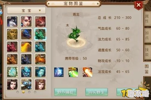 问道手游60级装备与宝宝装备制作全攻略，详细解析打造方法获网友好评