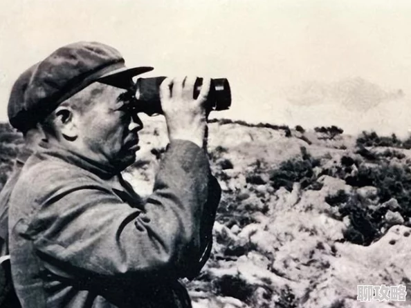 网友热议:世界之战手游军官系统深度玩法技巧全解析指南 网友热议:世界之战手游军官系统深度玩法技巧全解析指南