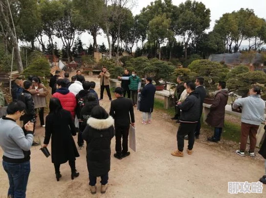 NBA篮球大师球员获取宝典:每日登陆领免费球员,网友亲测有效攻略! NBA篮球大师球员获取宝典:每日登陆领免费球员,网友亲测有效攻略!