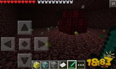 我的世界手机版:网友热议地狱探索心得技巧深度介绍详解 我的世界手机版:网友热议地狱探索心得技巧深度介绍详解