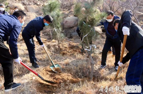 部落冲突10本种树攻略:越南玩家创新不规则绿树阵,网友热议布局智慧! 部落冲突10本种树攻略:越南玩家创新不规则绿树阵,网友热议布局智慧!