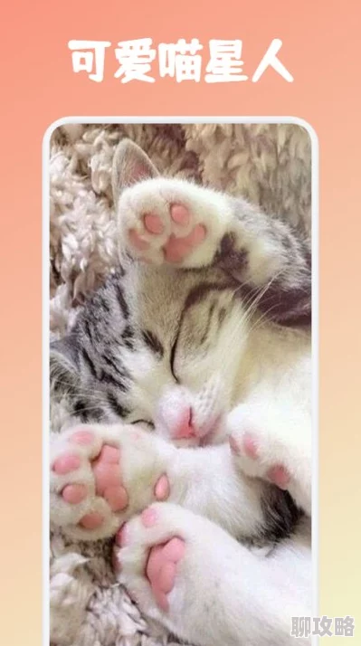 虼蚤怎么读gèzao古代汉语词汇学习app火爆下载 虼蚤怎么读gèzao古代汉语词汇学习app火爆下载