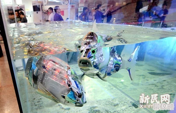 鳝鱼自慰 新型仿生机器人技术助力水产养殖效率提升