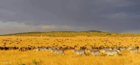 展现非洲自然风光与野生动物纪录片 展现非洲自然风光与野生动物纪录片