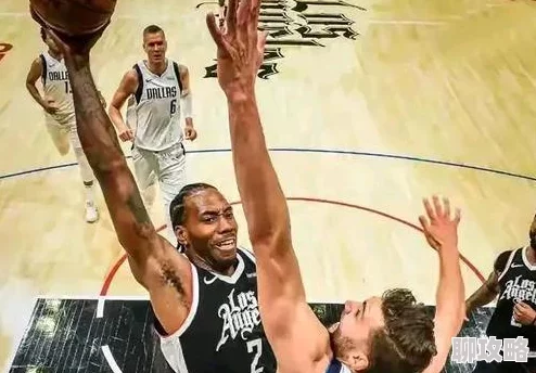 网友热议：坦克连手游新手如何选坦克？深度分析坦克取舍问题评价