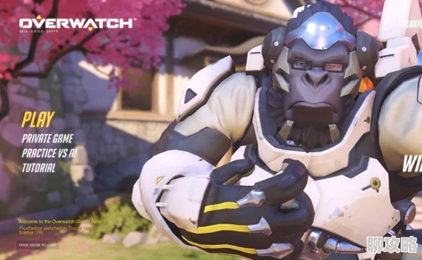 8月23日守望先锋测试服更新:新皮肤&地图震撼上线,网友热议好评如潮 8月23日守望先锋测试服更新:新皮肤&地图震撼上线,网友热议好评如潮