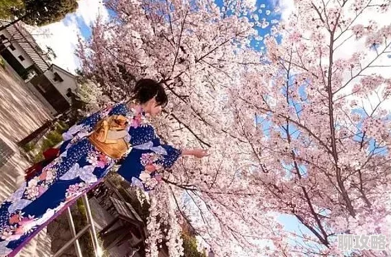 雾岛樱:为何此樱备受青睐,是颜色?是花期?是寓意? 雾岛樱:为何此樱备受青睐,是颜色?是花期?是寓意?