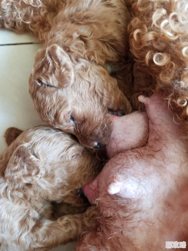 男人边吃奶边揉好爽这种行为不尊重女性令人不适请停止 男人边吃奶边揉好爽这种行为不尊重女性令人不适请停止