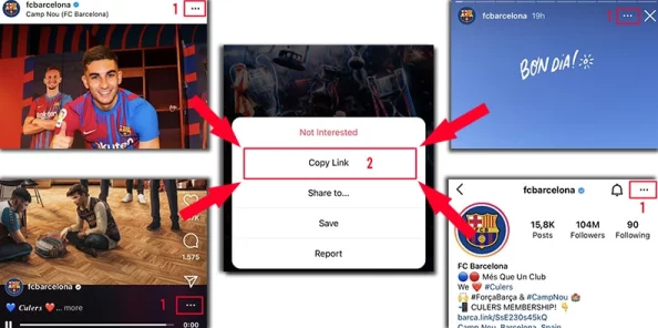 雷霆加速下载器苹果insInstagram下载加速与地区限制探索分析 雷霆加速下载器苹果insInstagram下载加速与地区限制探索分析