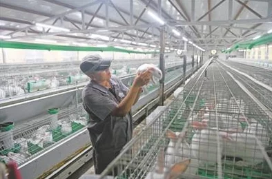 性中国农村另类Tⅴ2025乡村振兴新面貌展现农村新生活 性中国农村另类Tⅴ2025乡村振兴新面貌展现农村新生活