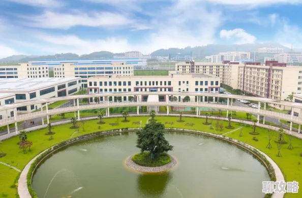 河马的秘密河网友称赞画面精美展现了河马不为人知的一面 河马的秘密河网友称赞画面精美展现了河马不为人知的一面