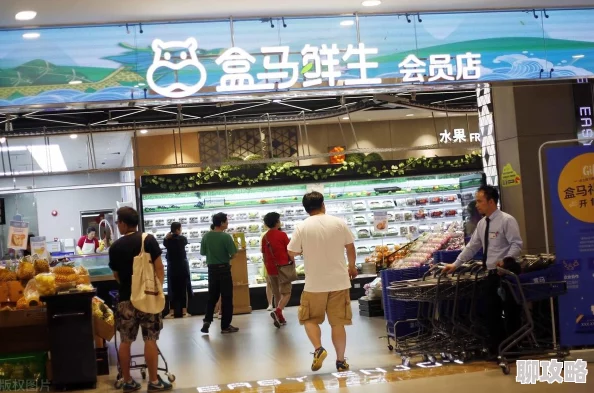 命运冠位指定FGO罗生门复刻：网友热评高效刷伤害攻略分享指南