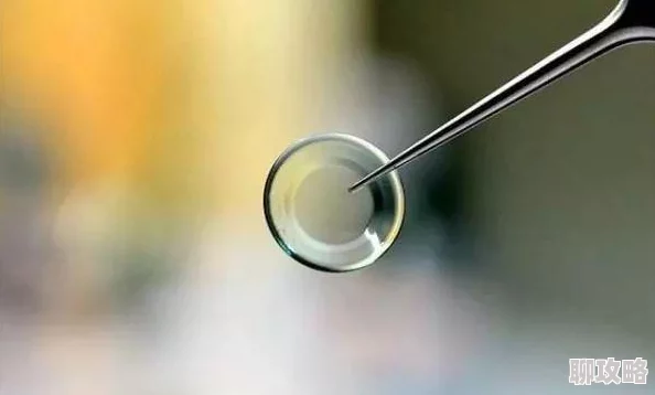 《植物大战僵尸2》全植物图鉴汇总：激光豆详细解析