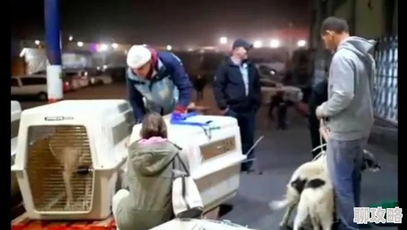 国内自拍偷拍为什么让人欲罢不能因为它提供了窥探他人生活的窗口满足了好奇心和求知欲
