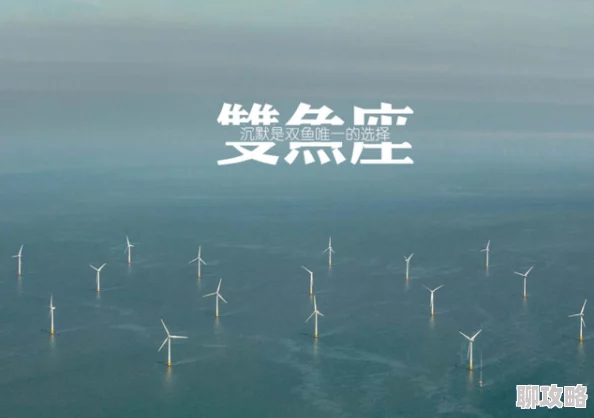 XXX性欧美为什么让人难以忘怀因为它触及了人类共同的情感和价值观