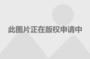 深度解析伊甸之魂手游玩法：网友热议与评价全览
