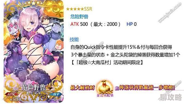 网友热议：命运冠位指定FGO国服岩窟王礼装搭配推荐精选