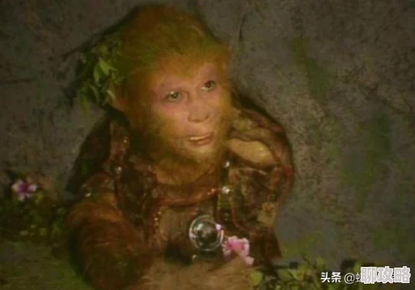 网友热议：梦幻西游手游方寸首选，太白金星变身卡效果最佳？