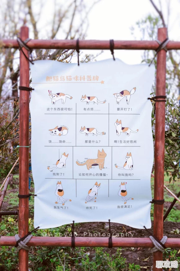 天堂之心手游：新手玩家必备！快速升级指南深度解析获网友好评