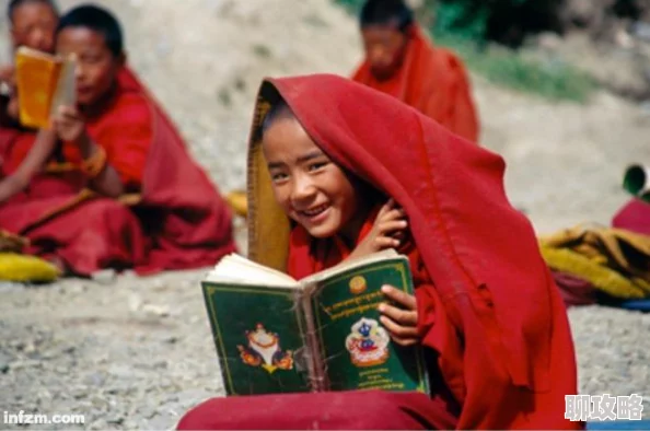 天堂之心手游：新手玩家必备！快速升级指南深度解析获网友好评