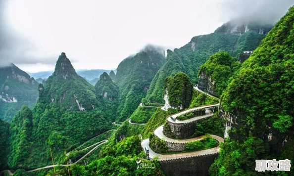 天下英雄手游天梯系统深度玩法技巧介绍及网友热评汇总