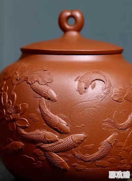数码宝贝相遇：宝石选择全攻略，不同颜色加成效果详解及网友热评