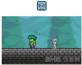 泰拉瑞亚BOSS帕拉丁召唤方式全面解析，网友热评攻略指南