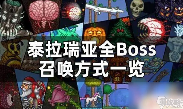 泰拉瑞亚BOSS帕拉丁召唤方式全面解析，网友热评攻略指南