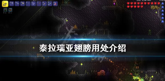 泰拉瑞亚玩家热议：违禁品蒸汽朋格翅膀全新获取攻略揭秘