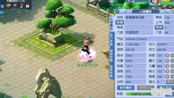 梦幻西游手游69级大唐5力加点方案深度探讨：网友热议与实战分享