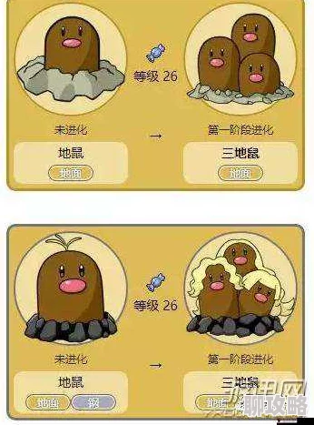 网友热议：口袋妖怪复刻版龙头地鼠优缺点深度分析指南