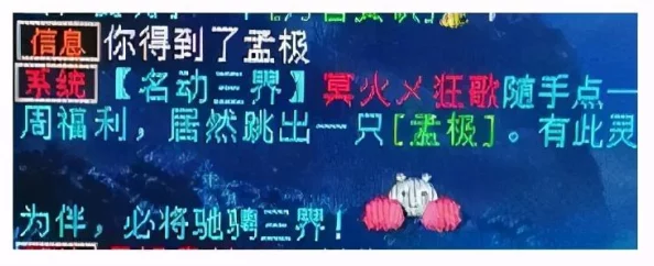 网友热议：大话西游手游新区VS老区，优劣势全面对比解析