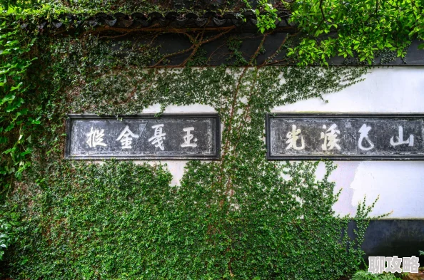 网友热议：秀丽江山手游帝王之殿活动规则全面介绍与评测