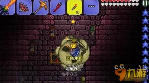 泰拉瑞亚PE玩家必看：地牢守卫打法全攻略及网友精彩评价解析