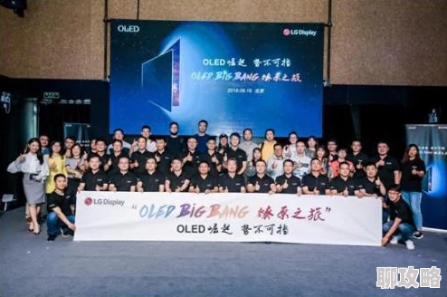 风之旅团游戏深度攻略：任务系统步步为营，网友热评策略必备