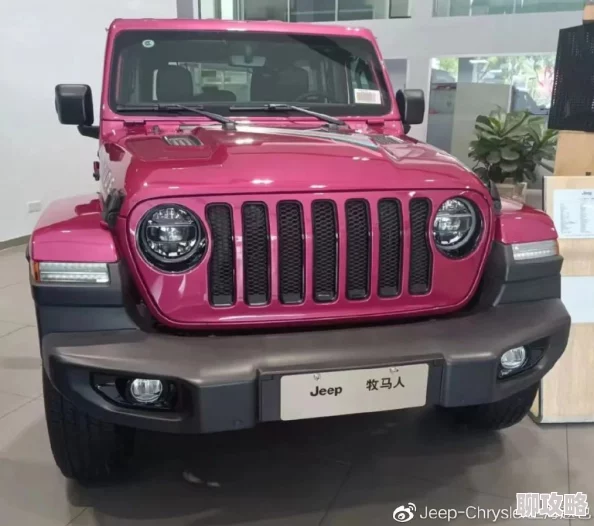 桃红色Jeep主打进口2025新款霓虹粉耀世登场预售开启配置升级
