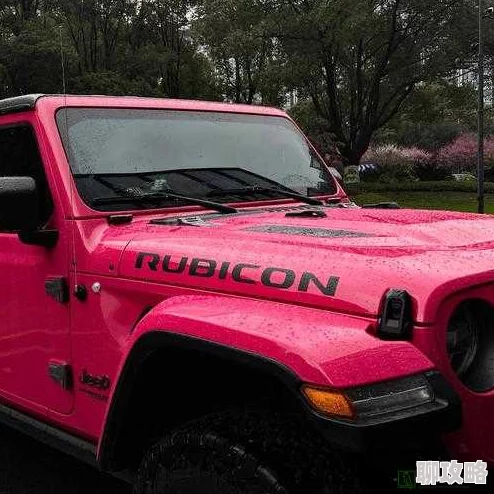 桃红色Jeep主打进口2025新款霓虹粉耀世登场预售开启配置升级