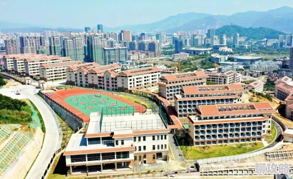 2025保卫萝卜3公园第54关金萝卜通关布阵详解与最新布阵技巧