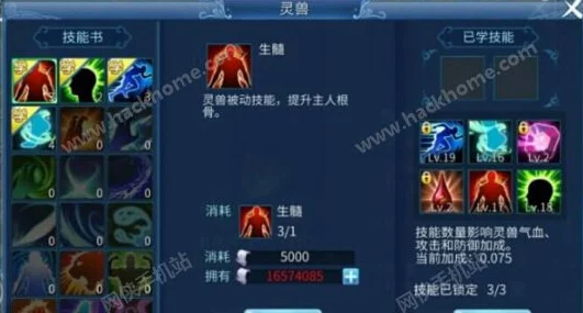 2025年热门天下手游灵兽加点技巧与最新养成攻略指南