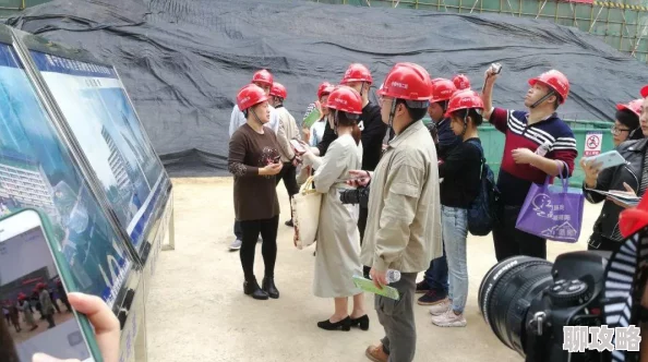2025年保卫萝卜3建筑工在火龙果宠物收集活动中的创新表现