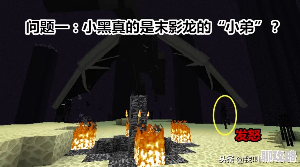 2025年最新我的世界末影龙蛋高效孵化方法与技巧全攻略分享