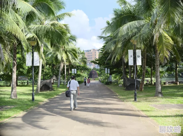 2025年皇室战争热门：石头墓园暴力卡组实战打法深度解析与热门策略