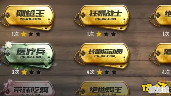 2025年和平精英勋章大全：热门成就与最新勋章解锁指南