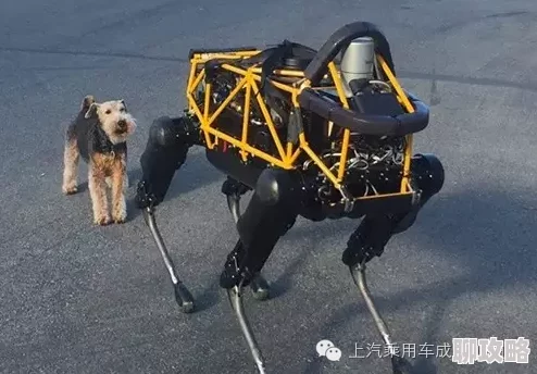 2025年未来科技：疯狂动物园河马机器人，骑上它，你就能轻松探索深海奥秘啦！
