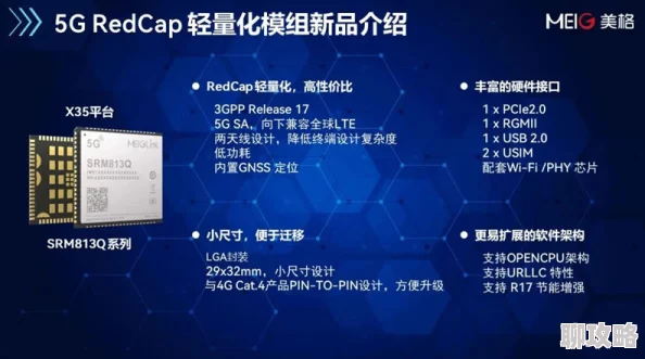 2025年探索《我的世界》中枯死灌木的多元功能与创新作用